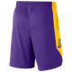 Nike Ανδρικό σορτς Los Angeles Lakers